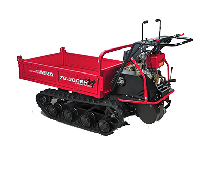 motorizuoti-karuciai